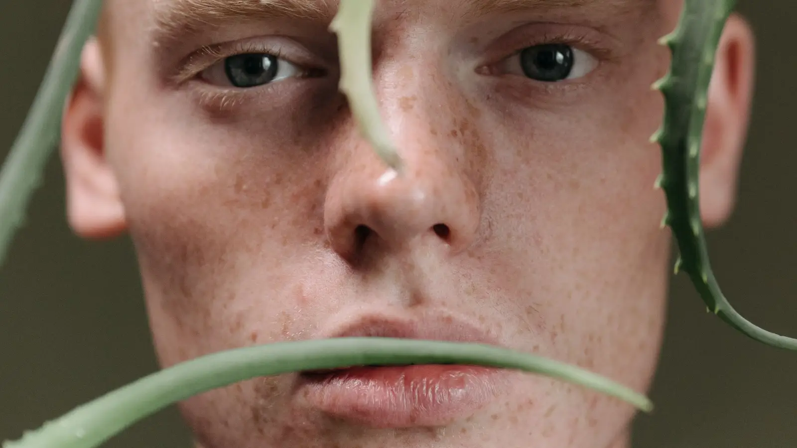 Aloe Vera Fades Dark Spots? Here’s What Research Actually Shows